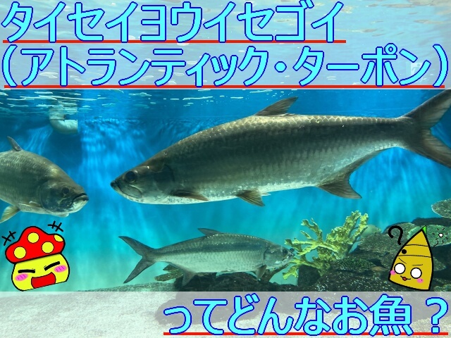 Thumbnail of post image 056